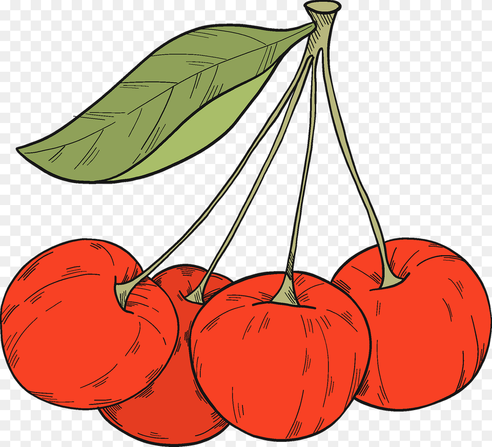 Cherries Clipart, Cherry, Food, Fruit, Plant Png Image