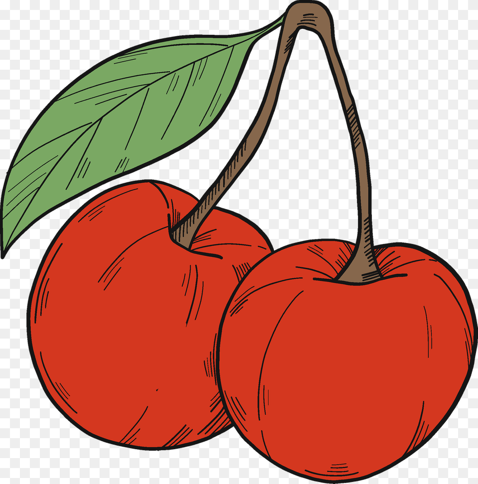 Cherries Clipart, Cherry, Food, Fruit, Plant Png Image