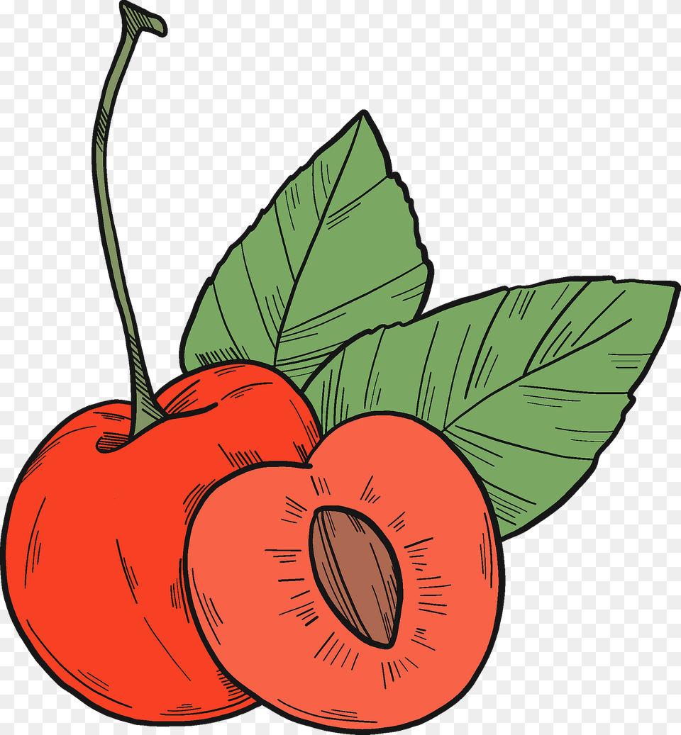 Cherries Clipart, Food, Fruit, Plant, Produce Png Image