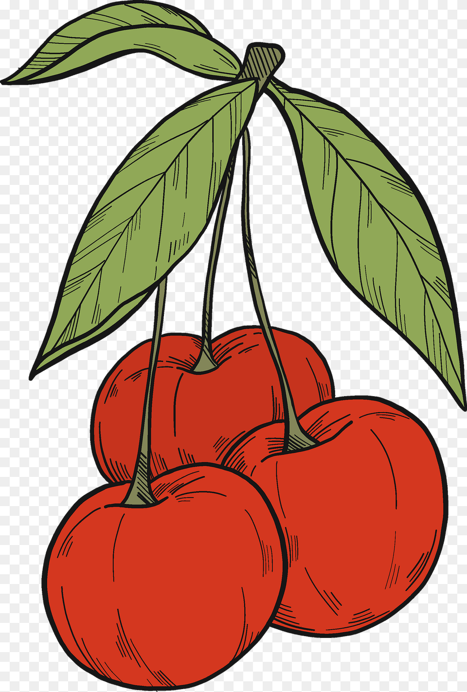 Cherries Clipart, Cherry, Food, Fruit, Plant Free Transparent Png