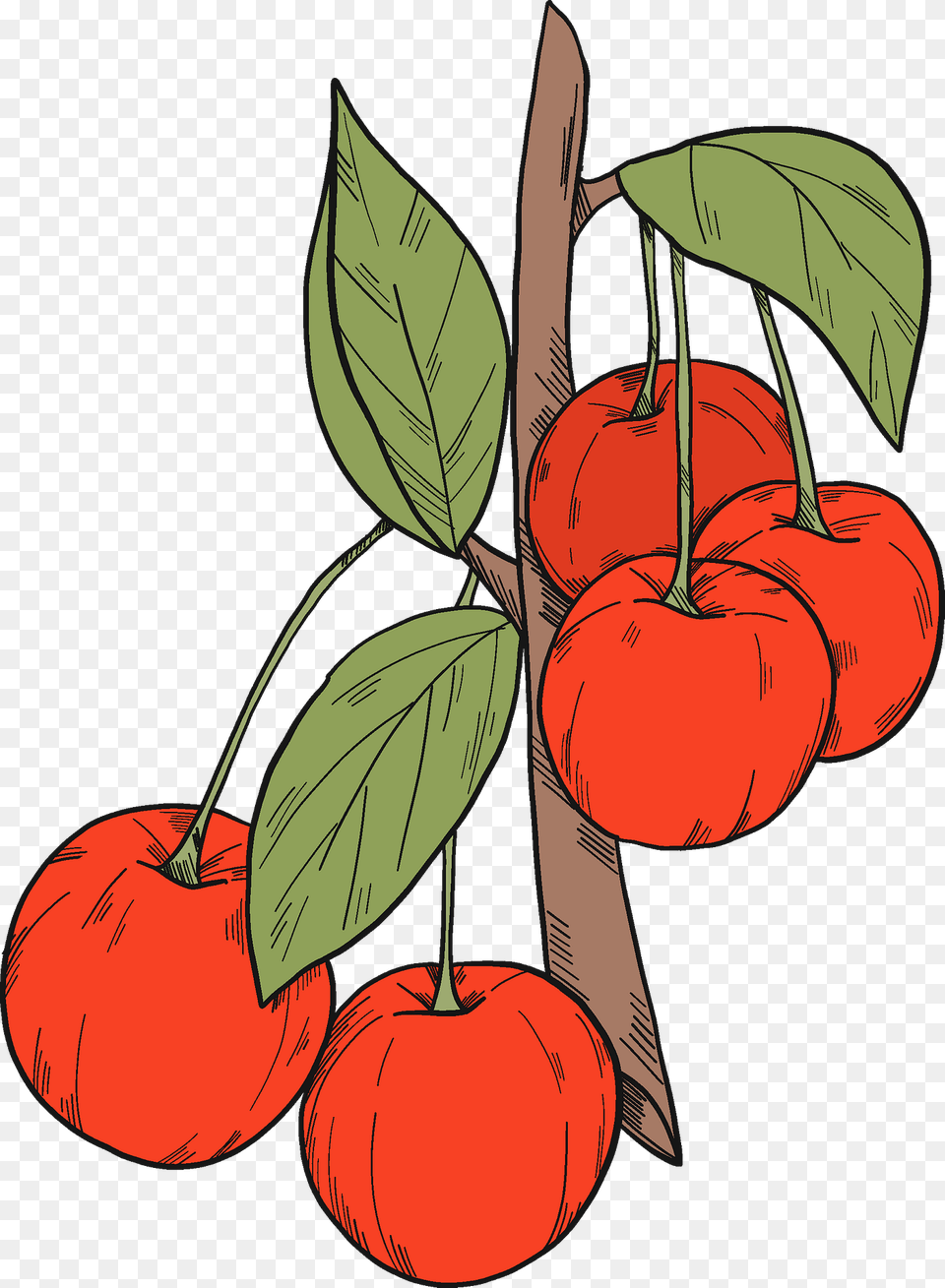 Cherries Clipart, Cherry, Food, Fruit, Plant Free Png Download