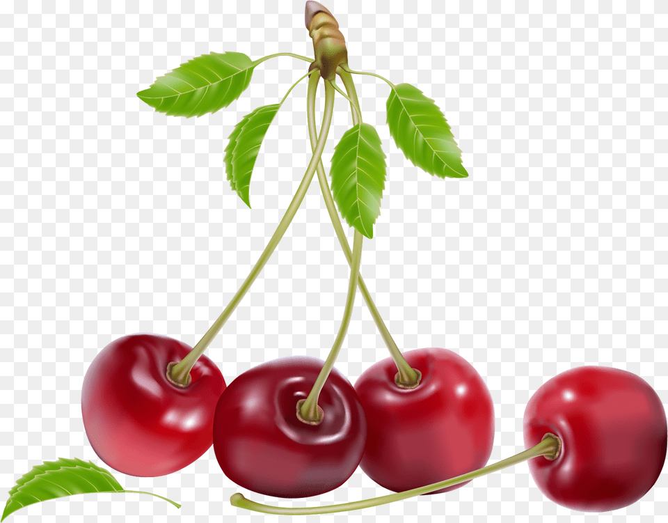Cherries Clipart Cherries, Cherry, Food, Fruit, Plant Free Transparent Png