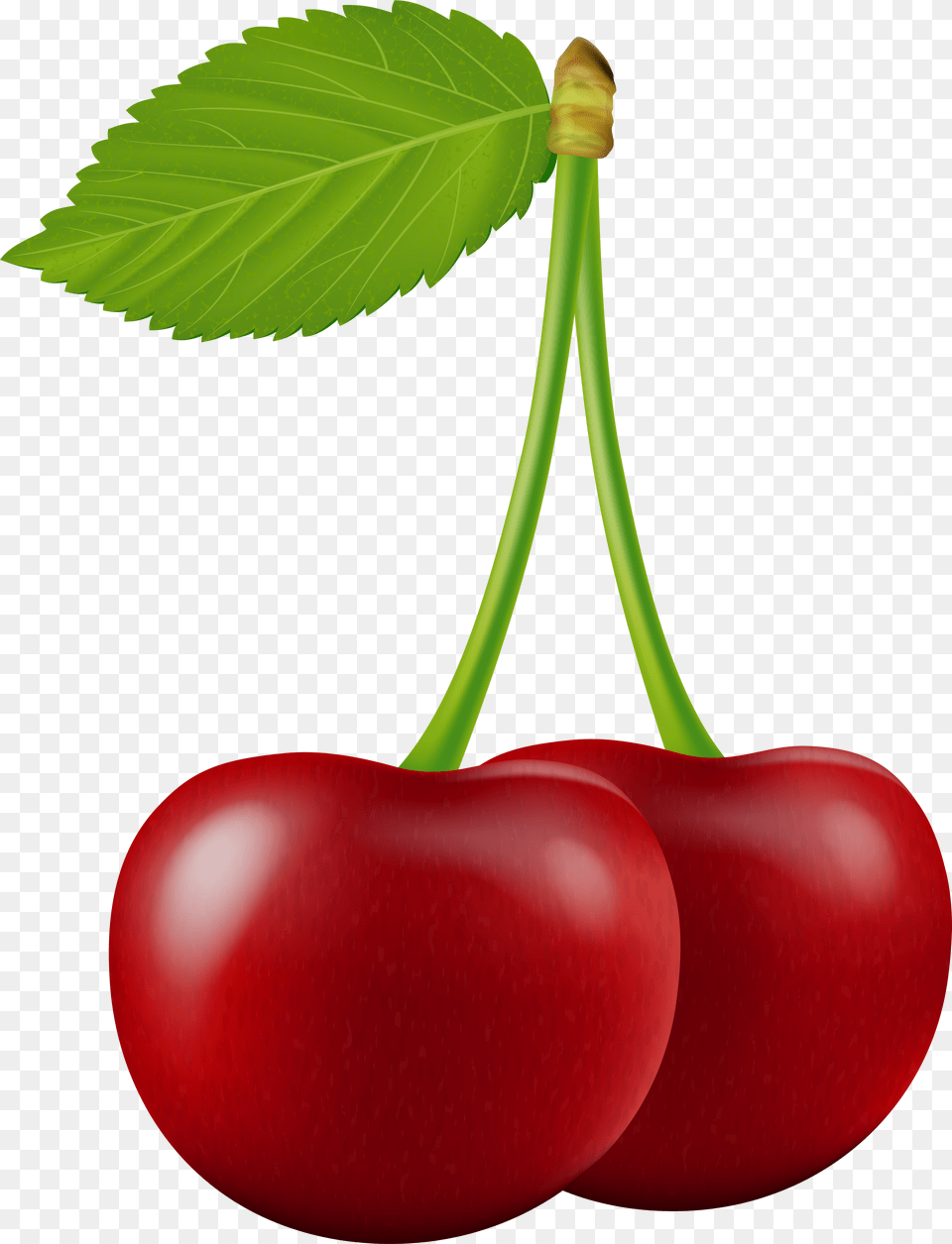 Cherries Clipart Transparent Background Clip Art Transparent Background Cherries Clipart Png