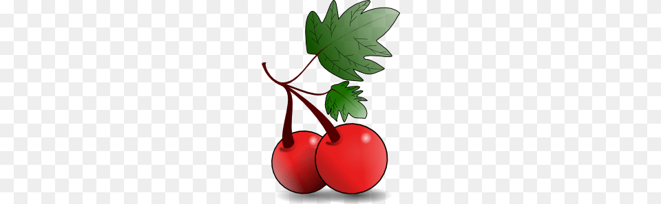 Cherries Fruit Clip Art Cliparts Fruit Cherry, Food, Plant, Produce, Leaf Free Png Download