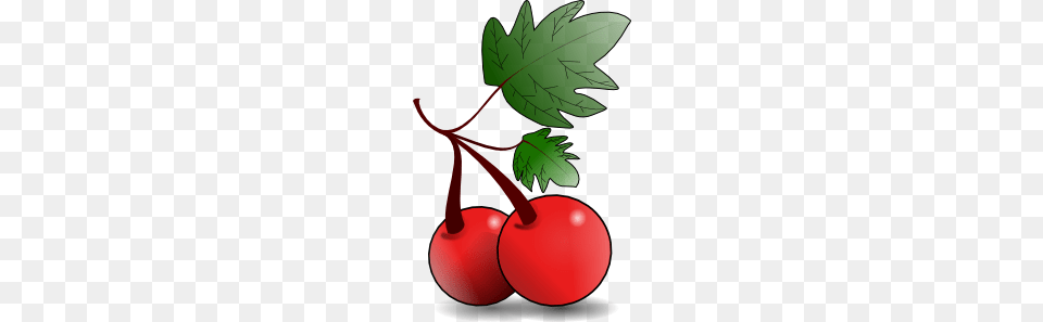 Cherries Fruit Clip Art Vector, Cherry, Food, Plant, Produce Free Png Download