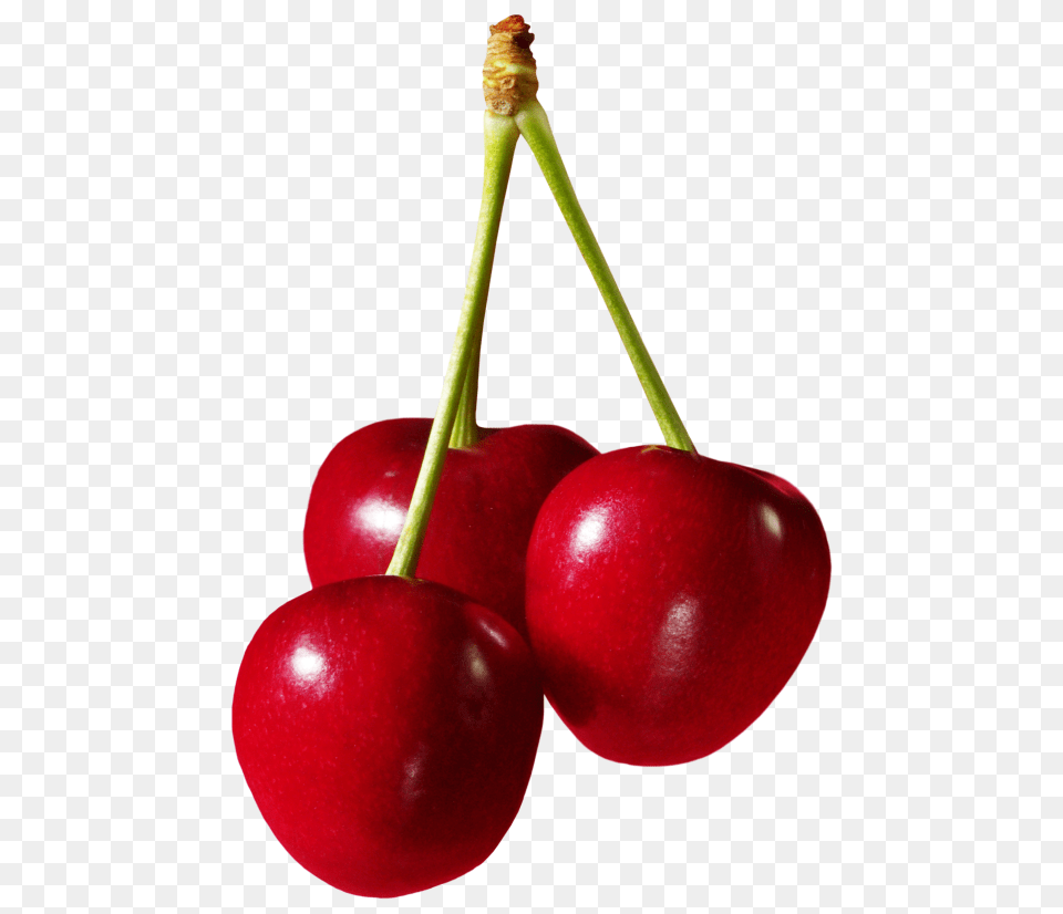 Cherries Fruit Clipart, Cherry, Food, Plant, Produce Free Png