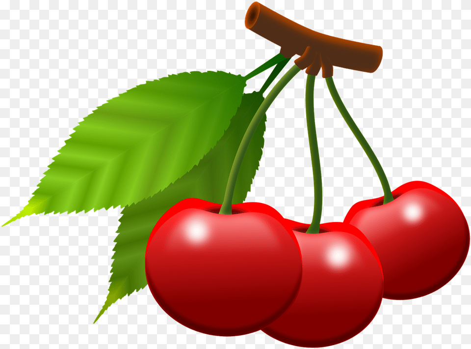 Cherries Fruits Berries Food Eat Power Supply Essen Lustige Bilder Bewegliche Bilder, Cherry, Fruit, Plant, Produce Free Transparent Png