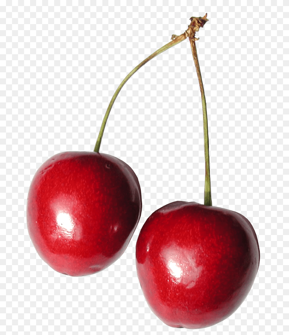Cherries Cherry, Food, Fruit, Plant, Produce Png Image