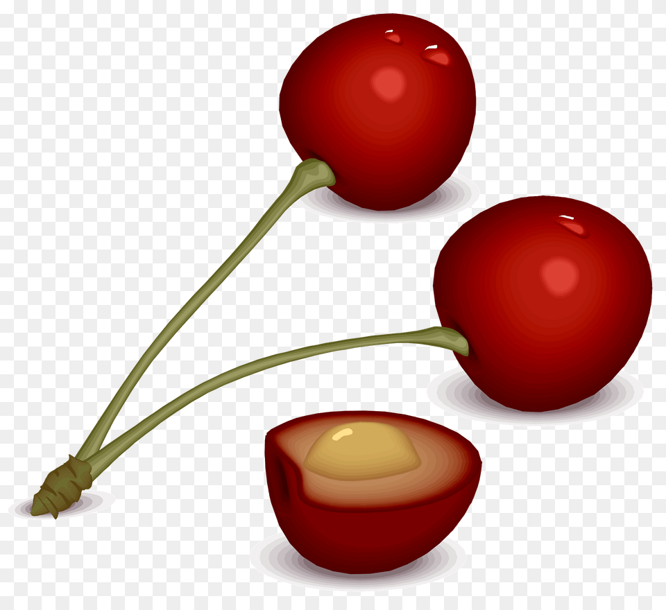 Cherries On The Stem Clipart, Cherry, Food, Fruit, Plant Png Image