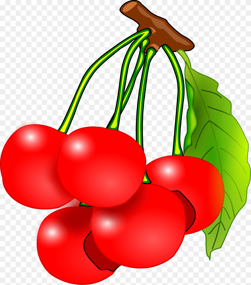 Cherries On The Tree Branch Clipart, Cherry, Food, Fruit, Plant Free Transparent Png