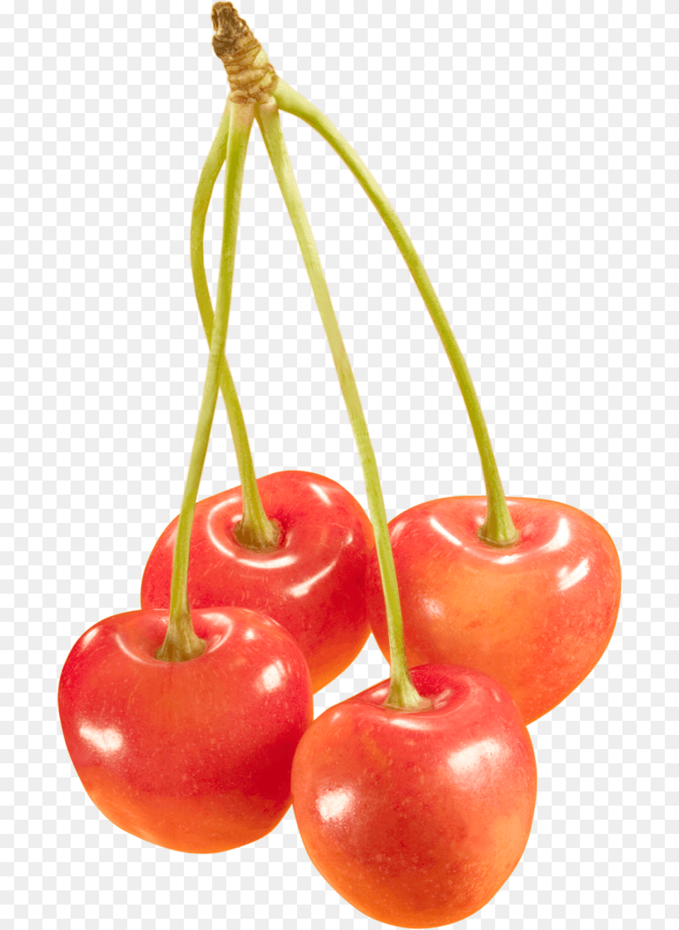 Cherries Orange Cherries, Cherry, Food, Fruit, Plant Free Transparent Png