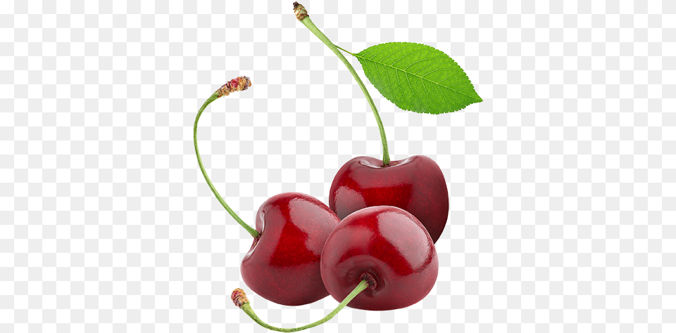 Cherries Tart Cherry No Background, Food, Fruit, Plant, Produce Free Png Download