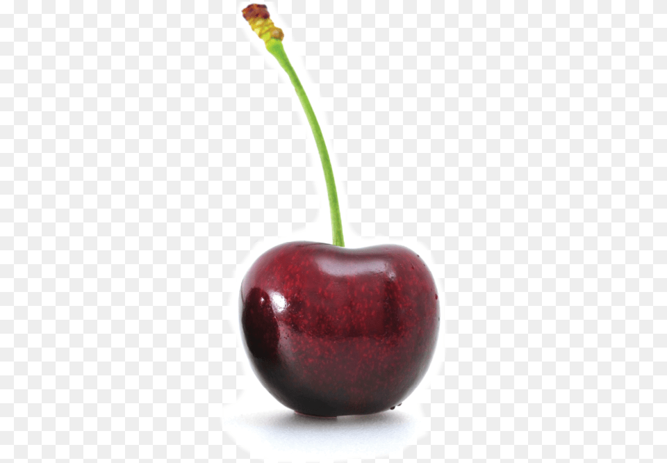 Cherry, Food, Fruit, Plant, Produce Free Png