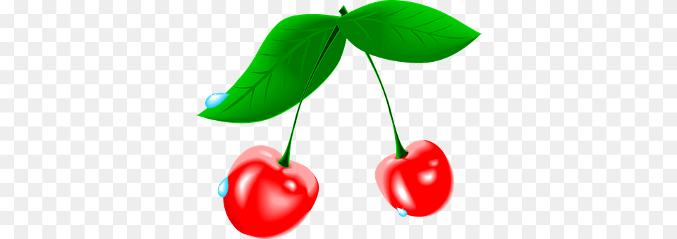 Cherry Food, Fruit, Plant, Produce Png Image