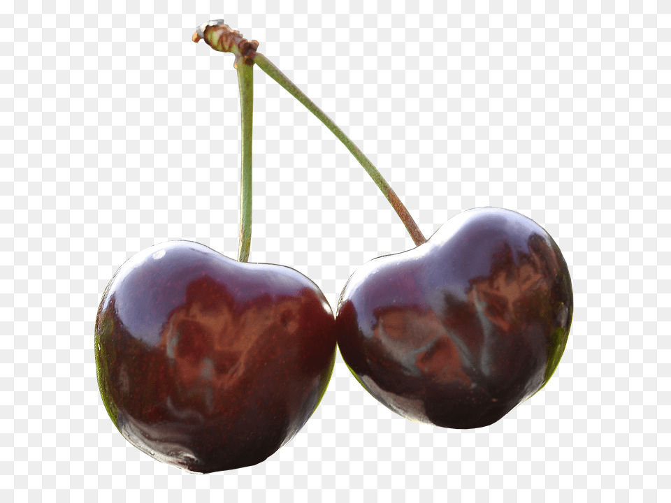 Cherry Food, Fruit, Plant, Produce Free Png Download