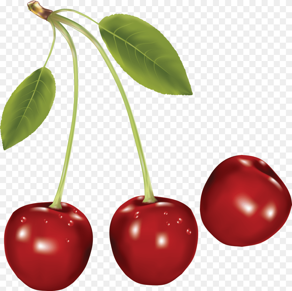 Cherry, Food, Fruit, Plant, Produce Free Png Download