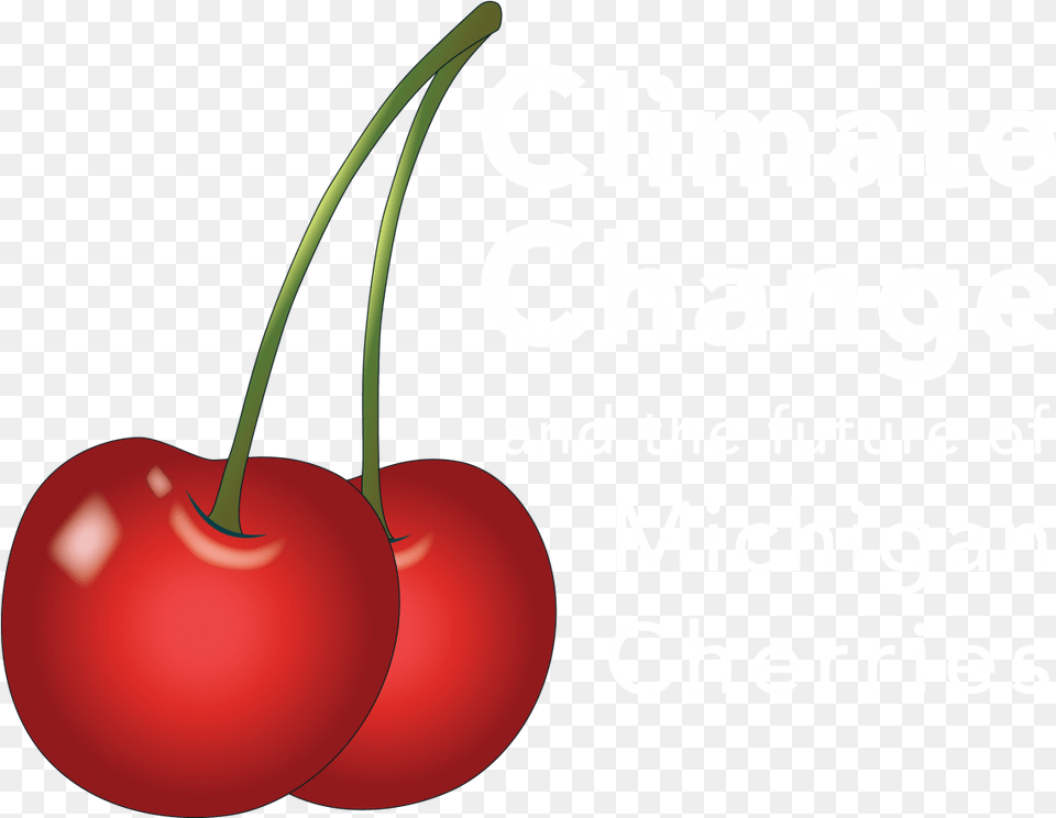 Cherry, Food, Fruit, Plant, Produce Free Png