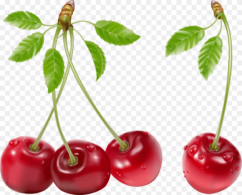 Cherry Png