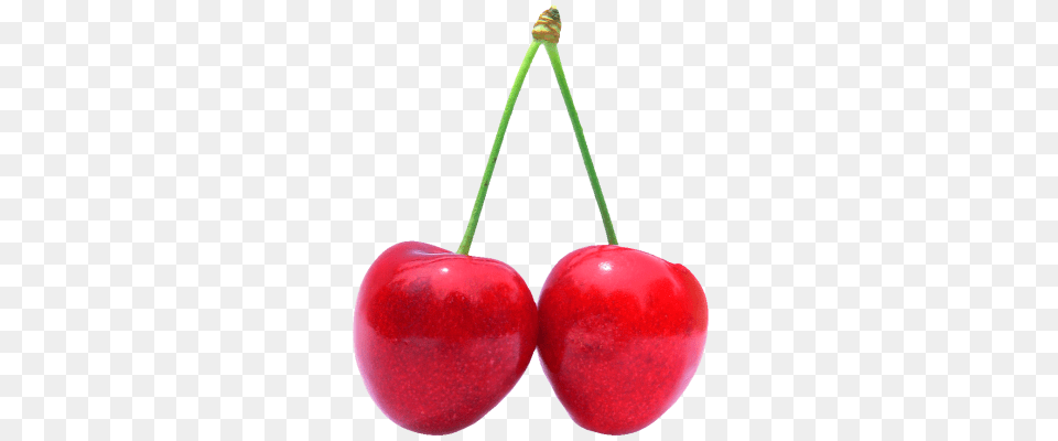 Cherry, Food, Fruit, Plant, Produce Free Transparent Png