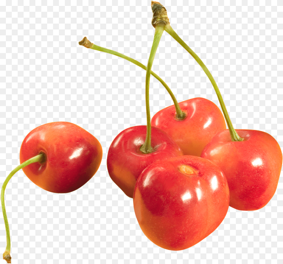 Cherry, Food, Fruit, Plant, Produce Png Image