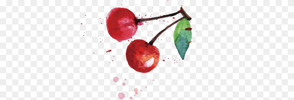 Cherry, Food, Fruit, Plant, Produce Png