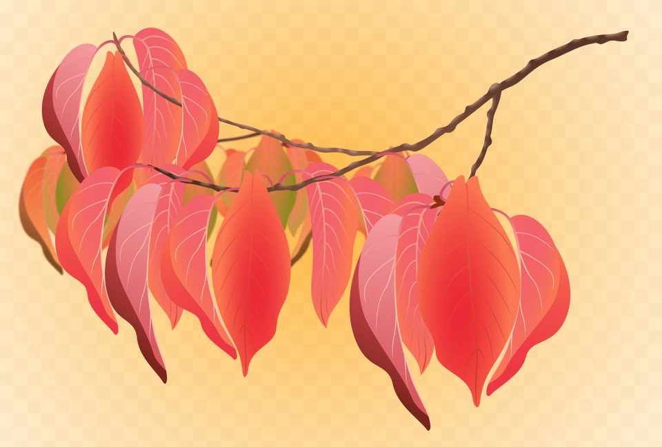 Cherry Autumn Leaves Anthurium, Logo, Astronomy, Moon, Nature Free Png