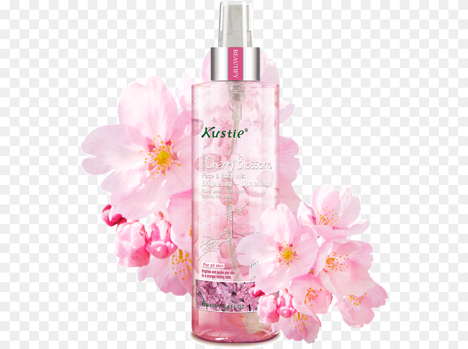 Cherry Blossom, Flower, Plant, Bottle, Cosmetics Free Png