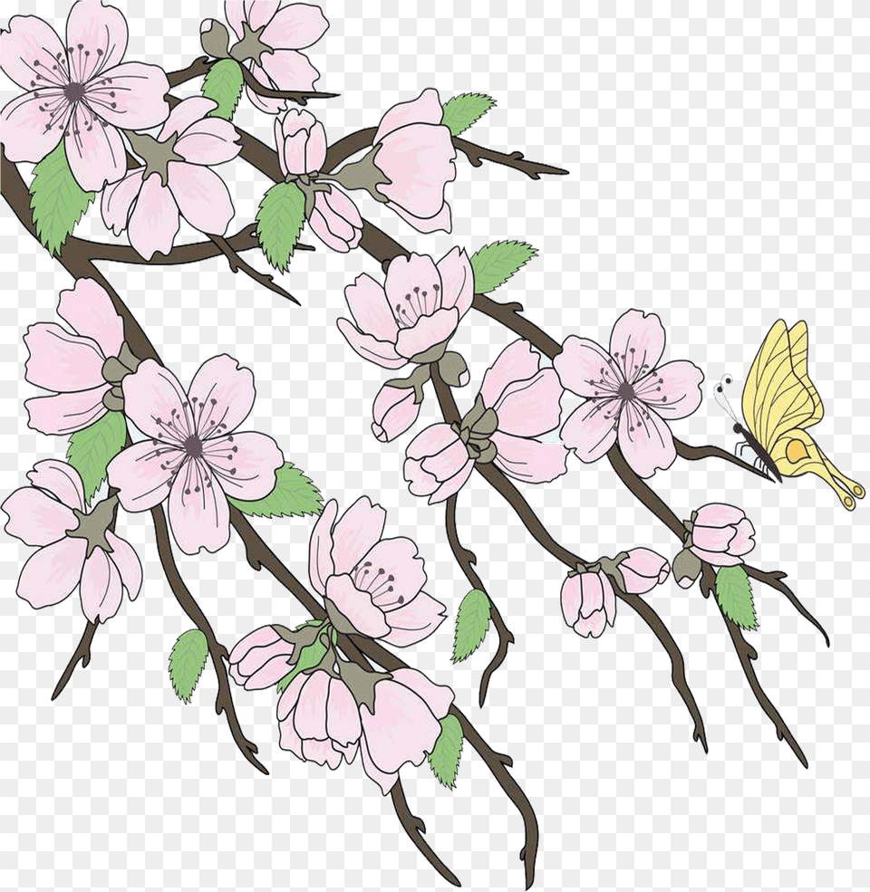 Cherry Blossom, Flower, Plant, Cherry Blossom, Pattern Png Image