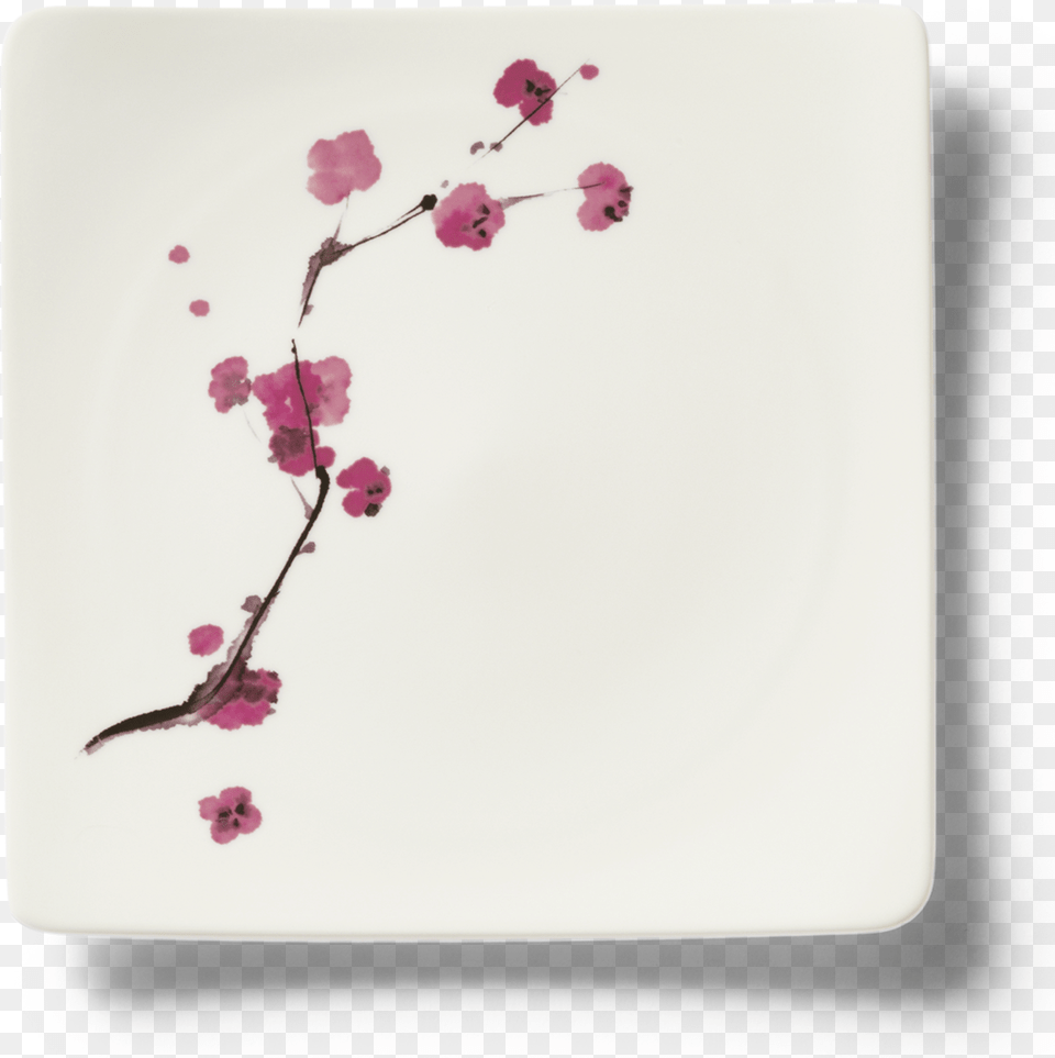 Cherry Blossom, Flower, Petal, Plant, Flower Arrangement Png