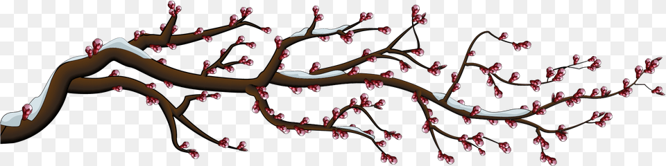 Cherry Blossom, Flower, Plant, Cherry Blossom, Food Free Png Download