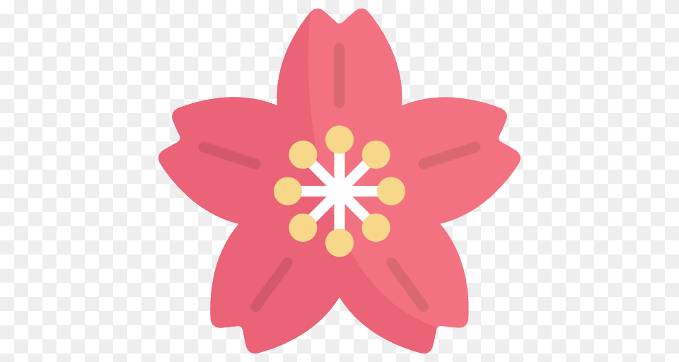 Cherry Blossom, Anther, Flower, Plant, Petal Free Transparent Png