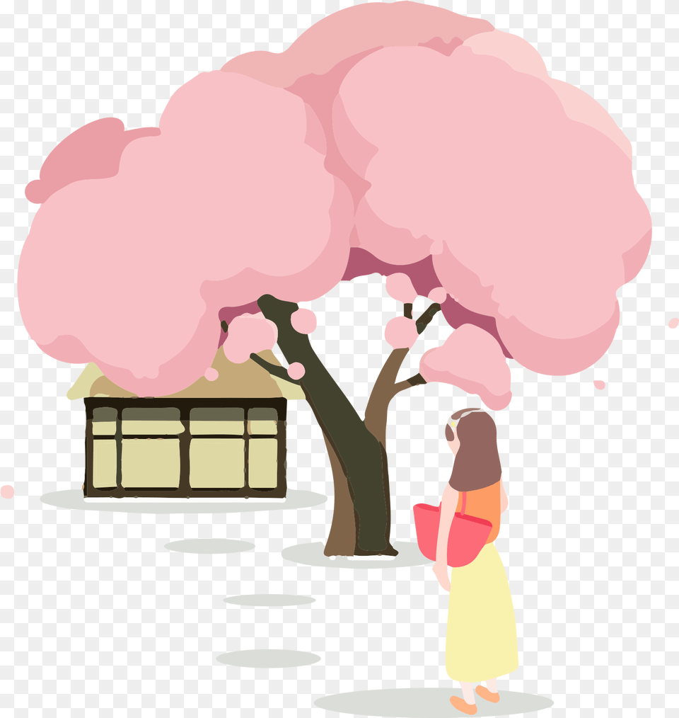 Cherry Blossom, Flower, Plant, Person, Outdoors Png Image