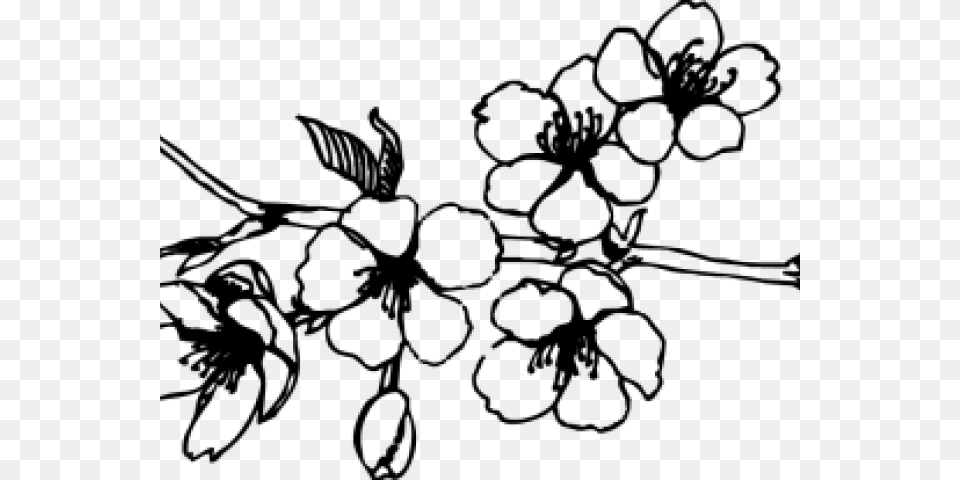 Cherry Blossom Black And White, Gray Free Png