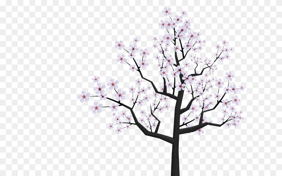 Cherry Blossom Branch Drawings Clip Art Japanese Cherry Blossom, Flower, Plant, Cherry Blossom, Chandelier Png Image