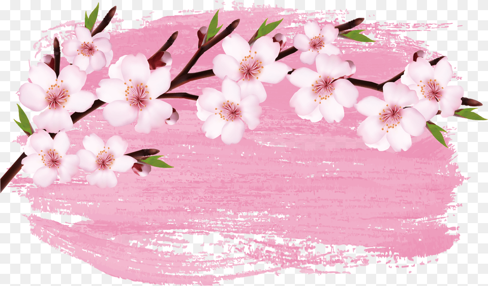 Cherry Blossom Branch Sakura Banner, Flower, Plant, Cherry Blossom, Petal Free Png Download