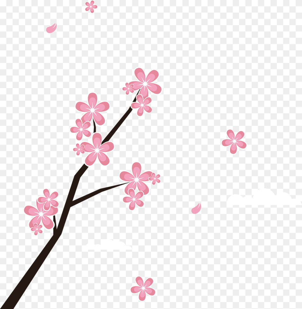 Cherry Blossom Branches And Petals Download, Flower, Plant, Petal, Cherry Blossom Free Png