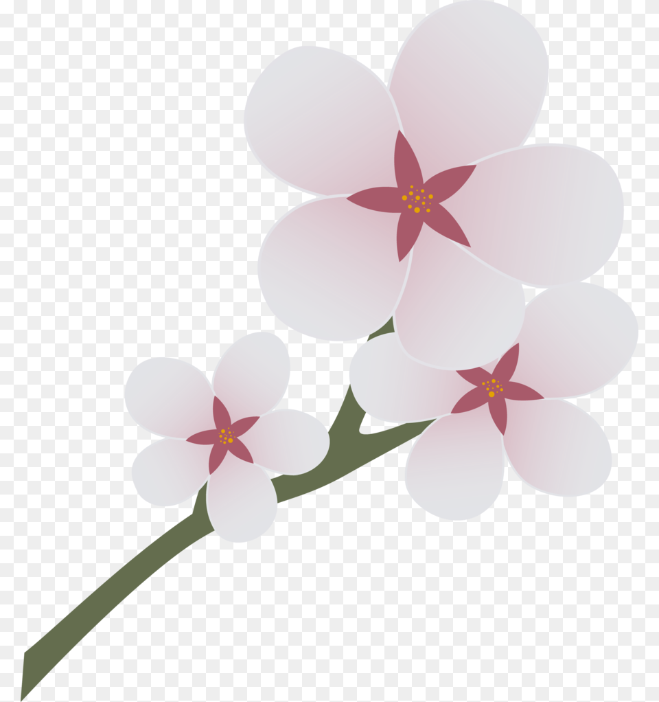 Cherry Blossom By Ingkala Mlp Cutie Mark Roblox, Flower, Plant, Orchid, Geranium Png