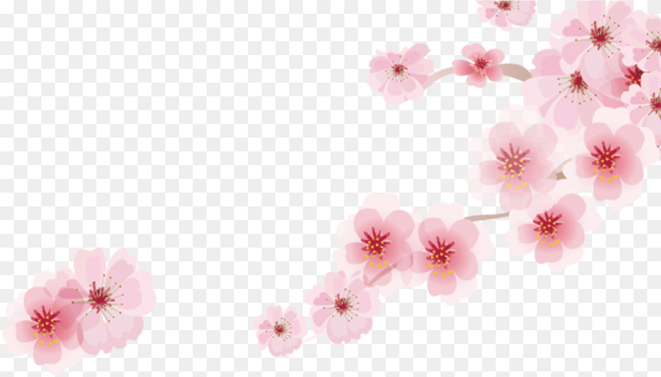 Cherry Blossom Cartoon Romantic Sakura Japanese Cartoon Sakura Cartoon, Flower, Plant, Cherry Blossom Png Image