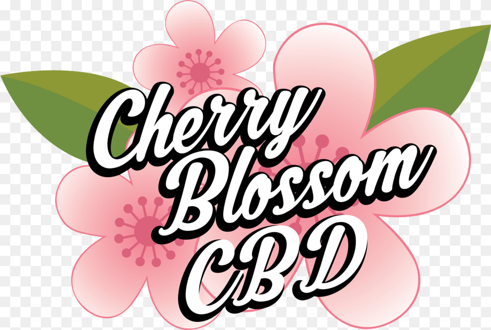 Cherry Blossom Cbd Floral Design, Flower, Plant, Dynamite, Weapon Free Png