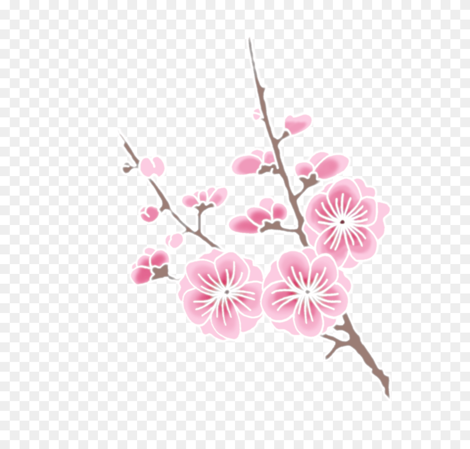 Cherry Blossom Cherry Blossom Branch Clipart, Flower, Plant, Cherry Blossom Free Png Download