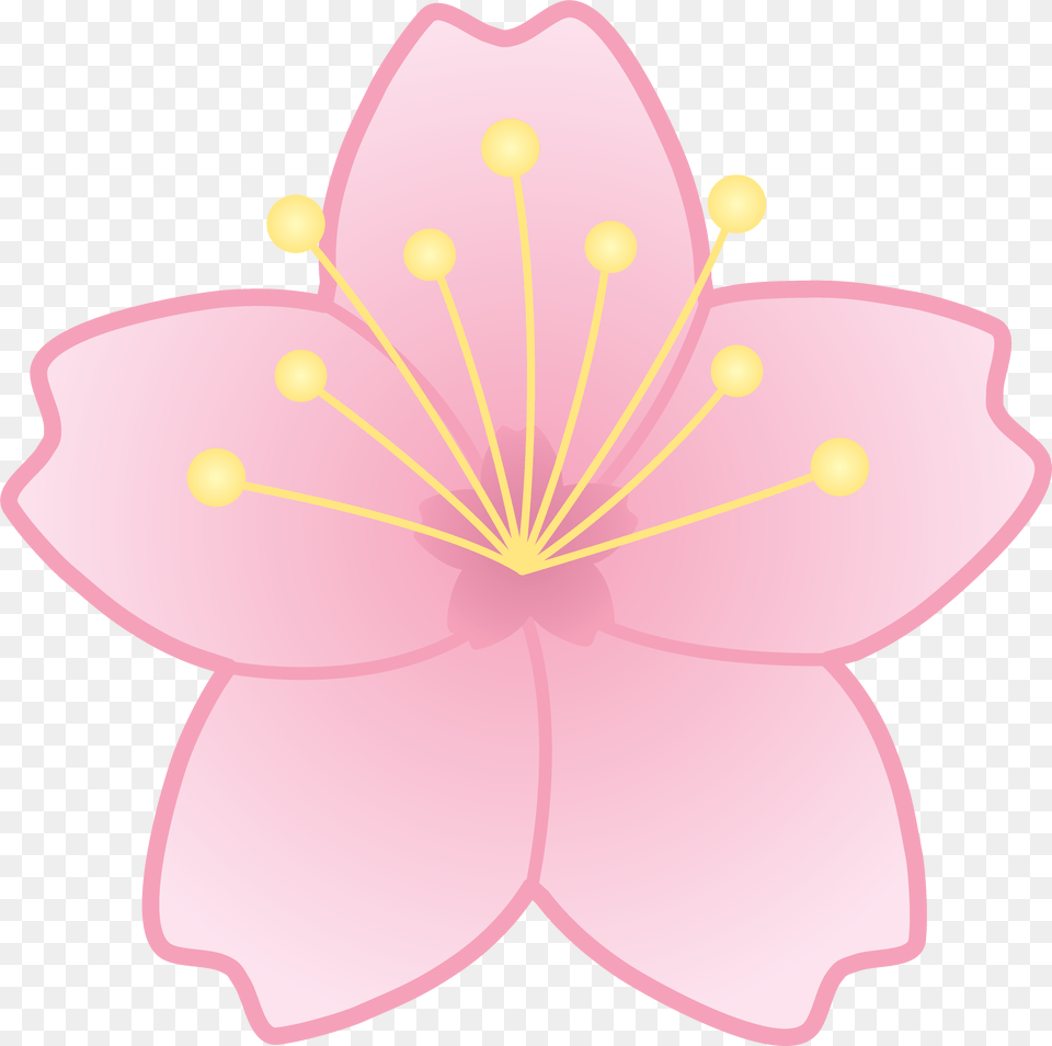 Cherry Blossom Cherry Blossom Flower Clip Art, Anther, Petal, Plant, Anemone Free Png Download