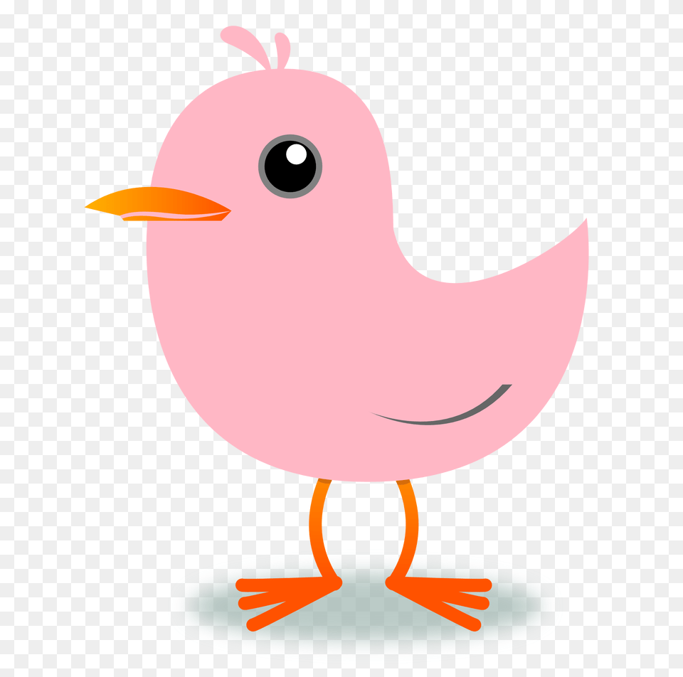 Cherry Blossom Clipart Pink Bird, Animal, Beak Png