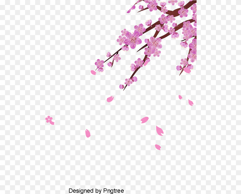 Cherry Blossom Clipart Sakura Flower Cherry Blossom Leaves, Petal, Plant, Cherry Blossom Png Image