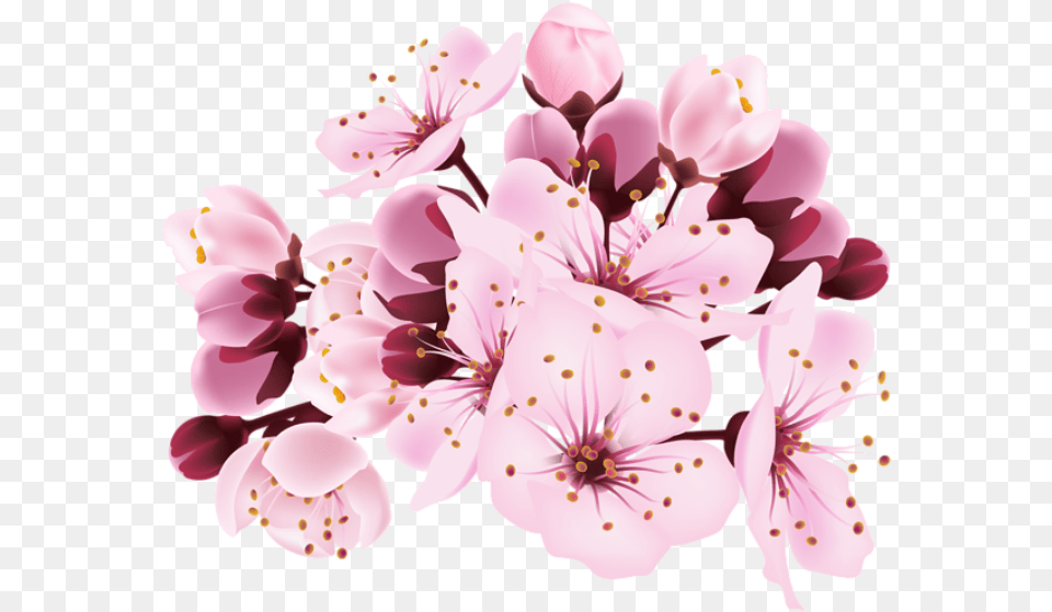Cherry Blossom Decorative Transparent Image Cherry Blossoms Transparent Background, Flower, Plant, Cherry Blossom, Birthday Cake Png