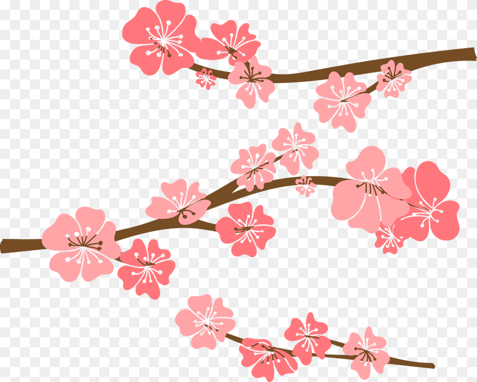 Cherry Blossom Drawing Cute Cherry Blossom Background, Flower, Plant, Cherry Blossom, Dynamite Png Image