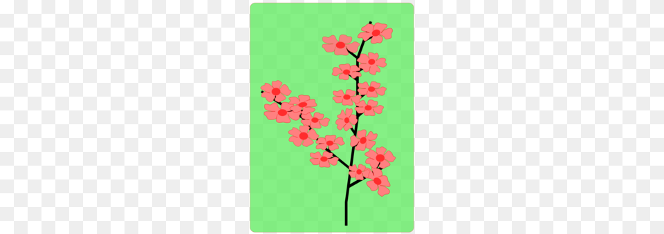Cherry Blossom Drawing Flower, Plant, Pattern, Art, Floral Design Png Image