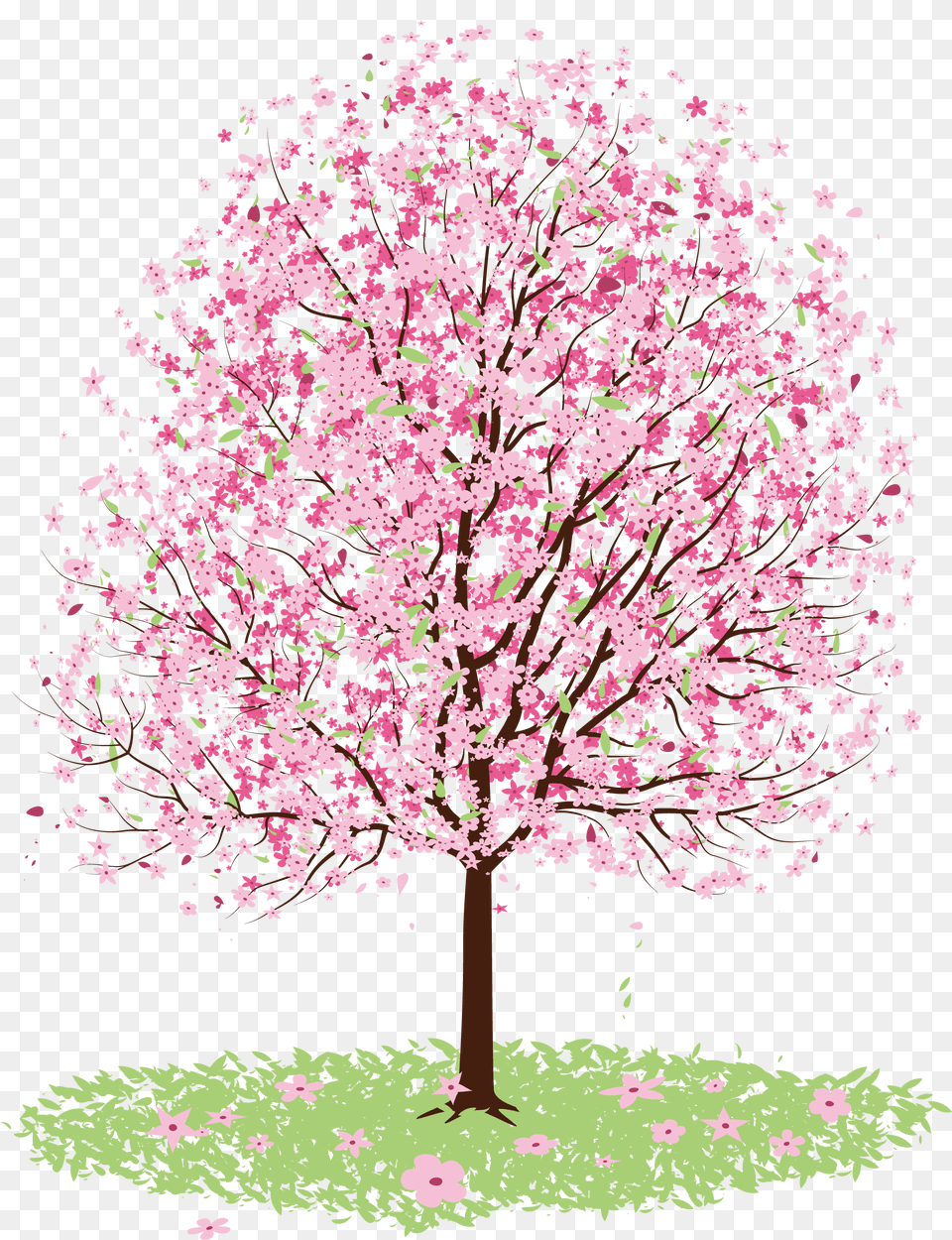 Cherry Blossom Drawing Tree Vector Cherry Blossom Tree, Flower, Plant, Vegetation, Cherry Blossom Free Png