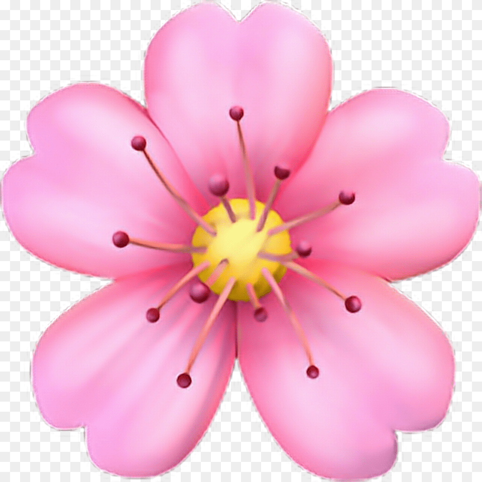 Cherry Blossom Emoji, Anther, Flower, Petal, Plant Png