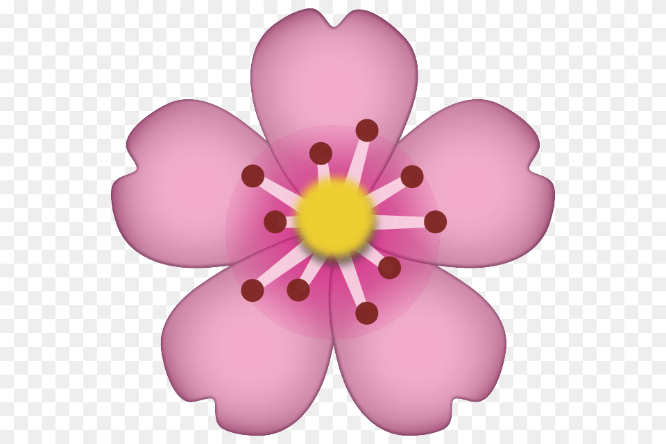 Cherry Blossom Emoji Flower Emoji, Anemone, Anther, Petal, Plant Png Image