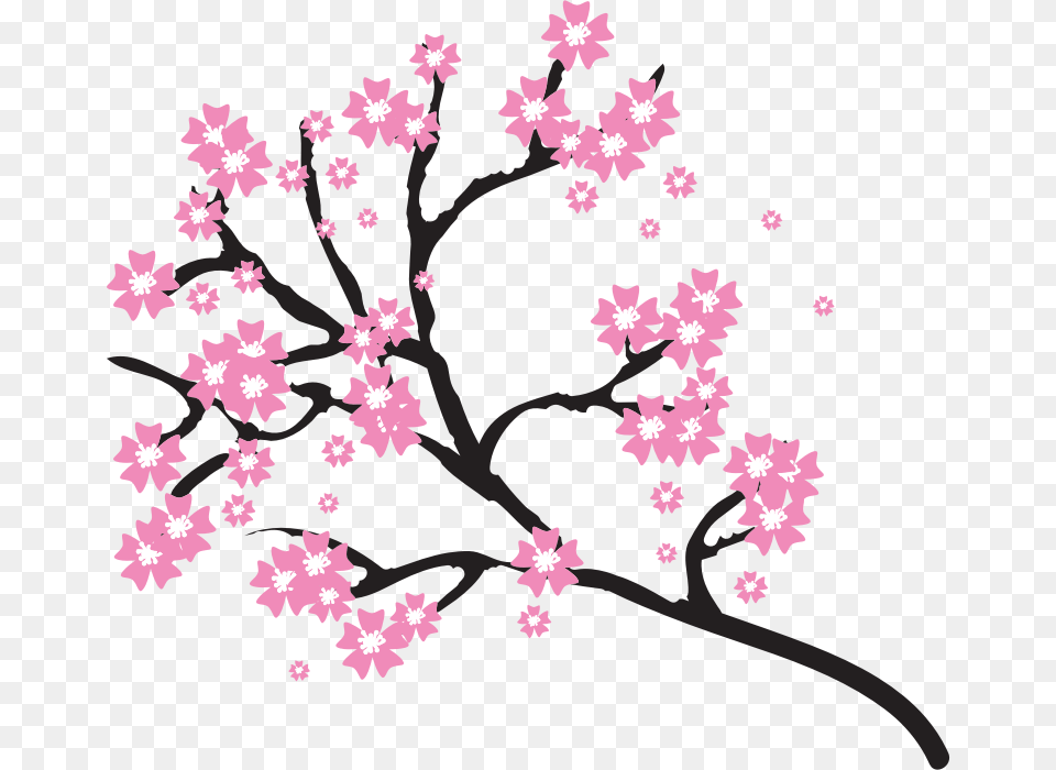 Cherry Blossom Flower Clip Art, Plant, Cherry Blossom Png Image